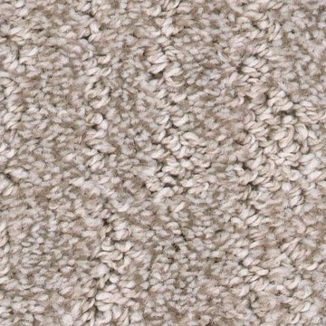 Carpet swatch | Northwest Flooring Gallery
